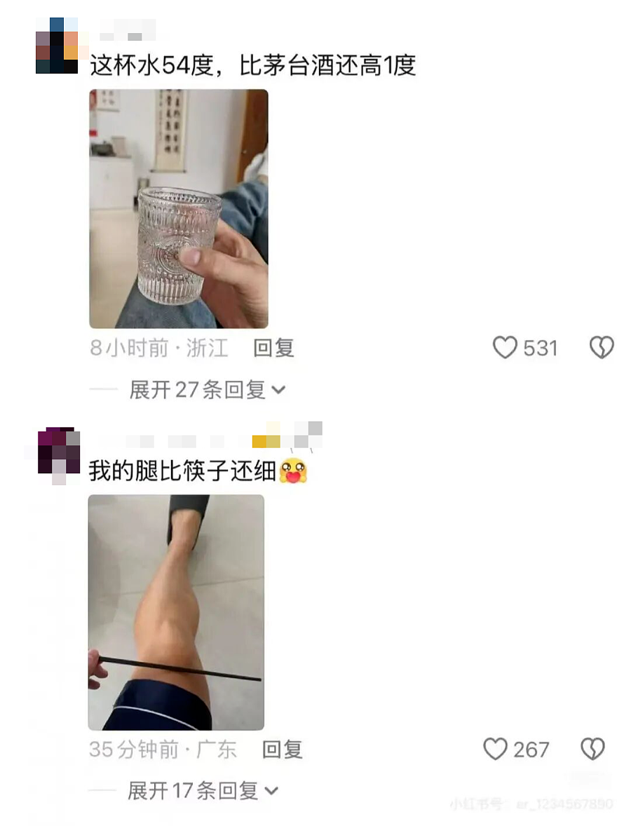 “直男魅魔”雷军，不灵了？（组图） - 15
