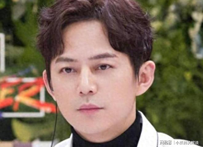 人前光鲜人后心酸！51岁的何炅自曝非常痛苦，如今谁都救不了他（组图） - 5