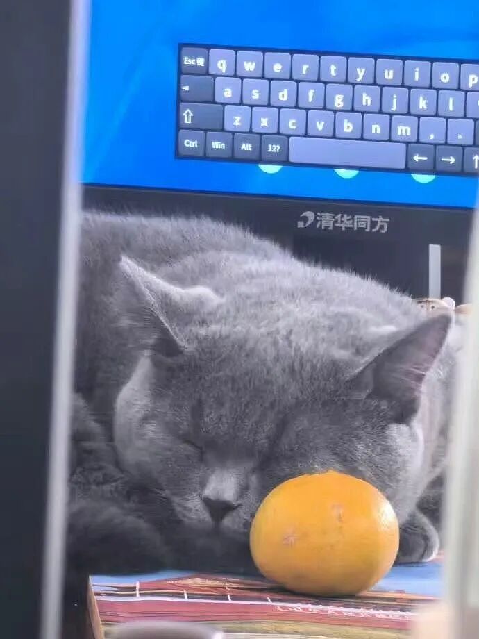 【爆笑】“不小心把相亲对象都拉进了一个群怎么办？”哈哈哈这才是真正的相亲主理人！（组图） - 43