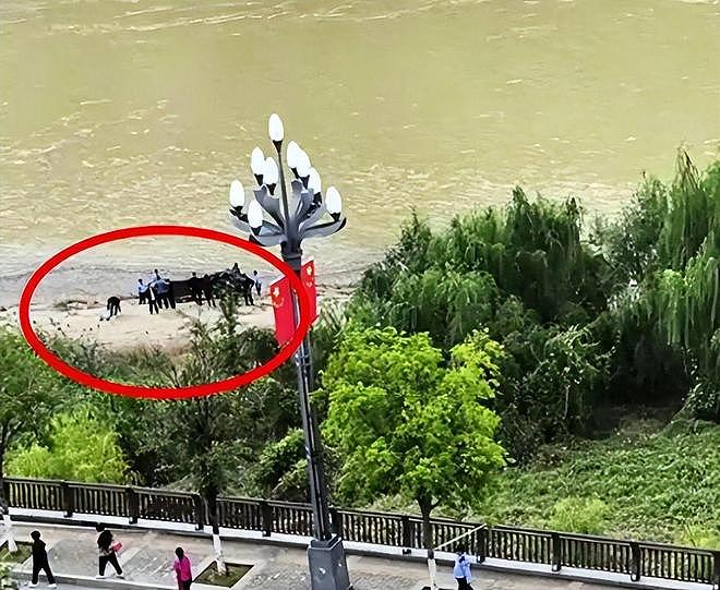 新郎跳河新后续：婚车上争吵不停，司机爆料，周某最后一句话流出（组图） - 12