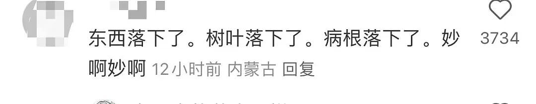 【爆笑】“不小心把相亲对象都拉进了一个群怎么办？”哈哈哈这才是真正的相亲主理人！（组图） - 14