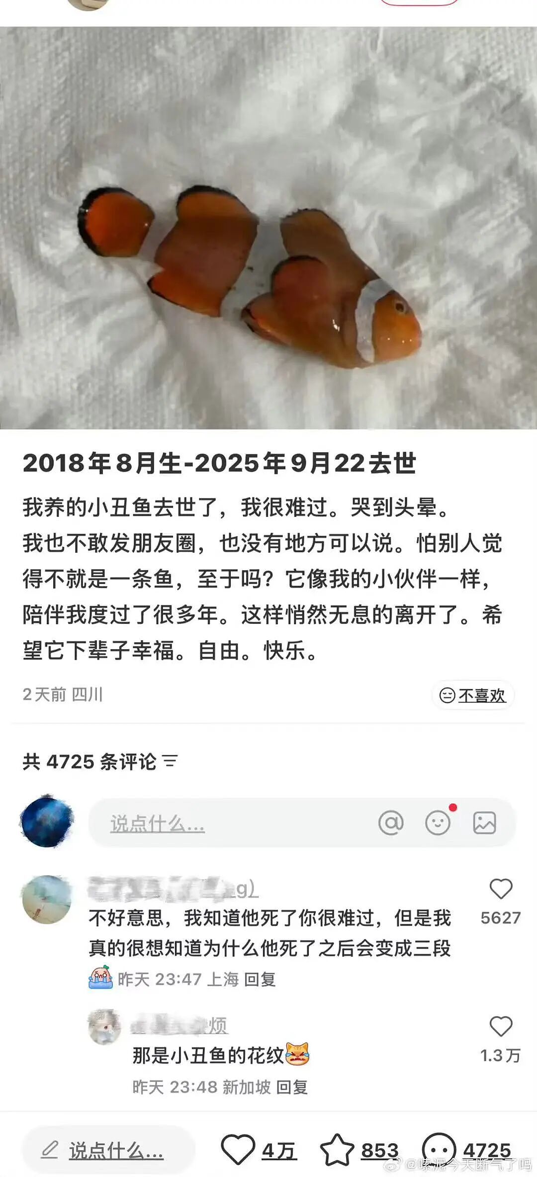 【爆笑】“不小心把相亲对象都拉进了一个群怎么办？”哈哈哈这才是真正的相亲主理人！（组图） - 50