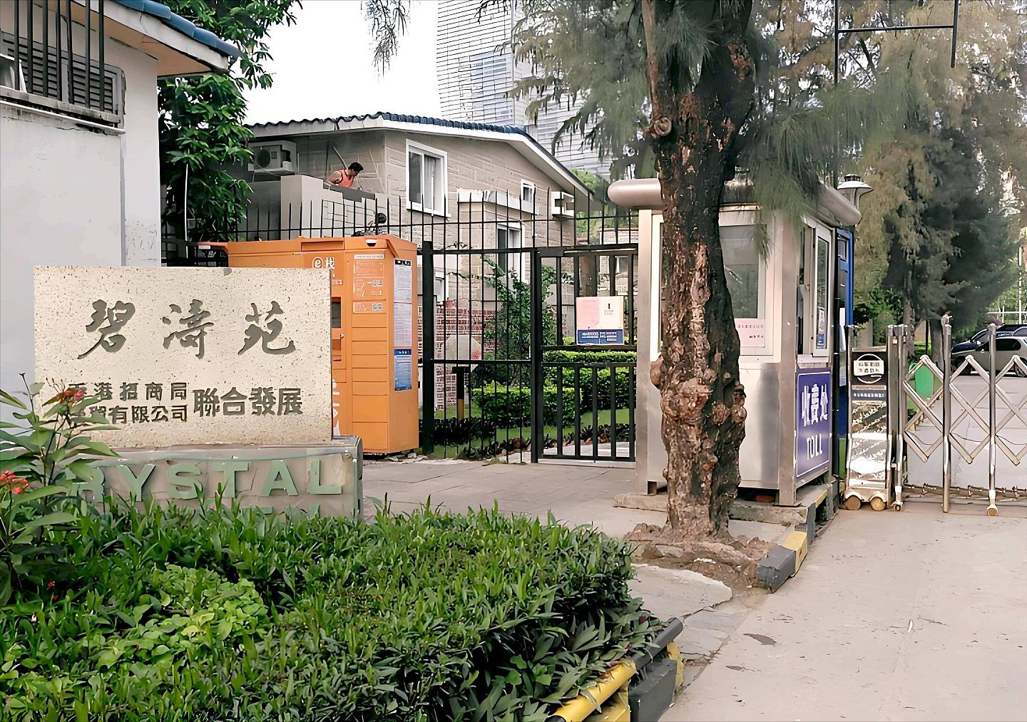 陈国军：我与刘晓庆还没离婚，就被她赶出门流浪（组图） - 5