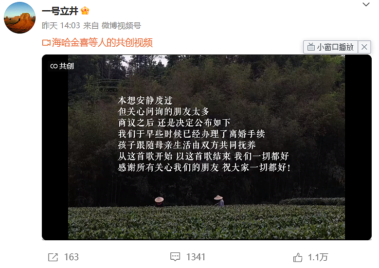 李亚鹏又离了?小19岁娇妻撕开离婚遮羞布,网友:太疯癫(组图) - 1