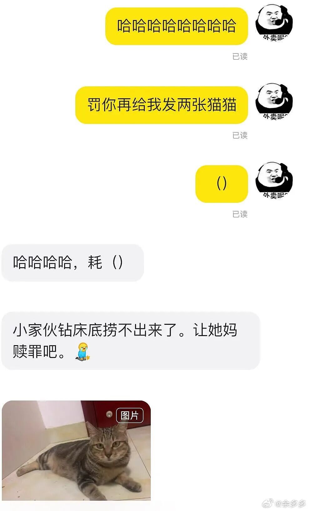 【爆笑】“不小心把相亲对象都拉进了一个群怎么办？”哈哈哈这才是真正的相亲主理人！（组图） - 28