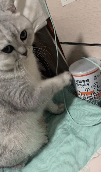 【宠物】女子网购猫爬架没看尺寸,收到货后傻眼了,连忙跟猫说对不起,猫:多少钱买的,你心里有数(组图) - 8