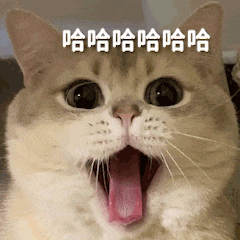 【宠物】女子网购猫爬架没看尺寸,收到货后傻眼了,连忙跟猫说对不起,猫:多少钱买的,你心里有数(组图) - 1