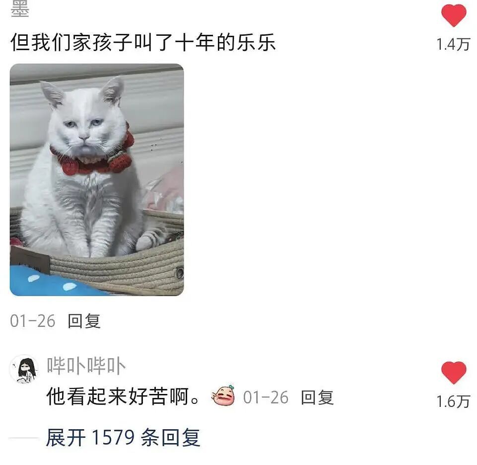 【宠物】女子网购猫爬架没看尺寸,收到货后傻眼了,连忙跟猫说对不起,猫:多少钱买的,你心里有数(组图) - 24