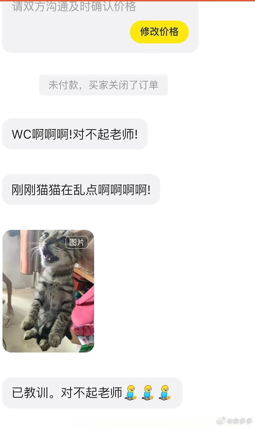 【爆笑】“不小心把相亲对象都拉进了一个群怎么办？”哈哈哈这才是真正的相亲主理人！（组图） - 27