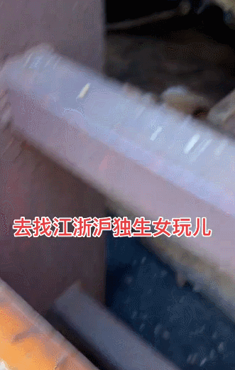 【宠物】女子网购猫爬架没看尺寸,收到货后傻眼了,连忙跟猫说对不起,猫:多少钱买的,你心里有数(组图) - 15