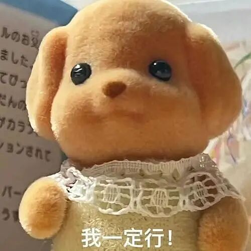 重磅!名校“重卷”标化,中国学生的机会来了(组图) - 7