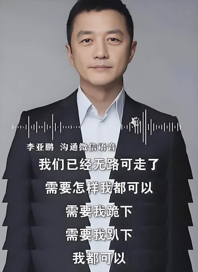 李亚鹏家庭情况曝光!父亲离世,母亲已81岁,哥哥因钱和他反目(组图) - 16