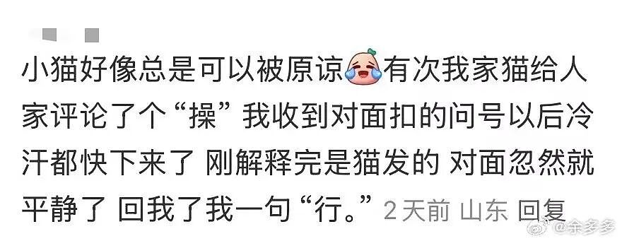 【爆笑】“不小心把相亲对象都拉进了一个群怎么办？”哈哈哈这才是真正的相亲主理人！（组图） - 29