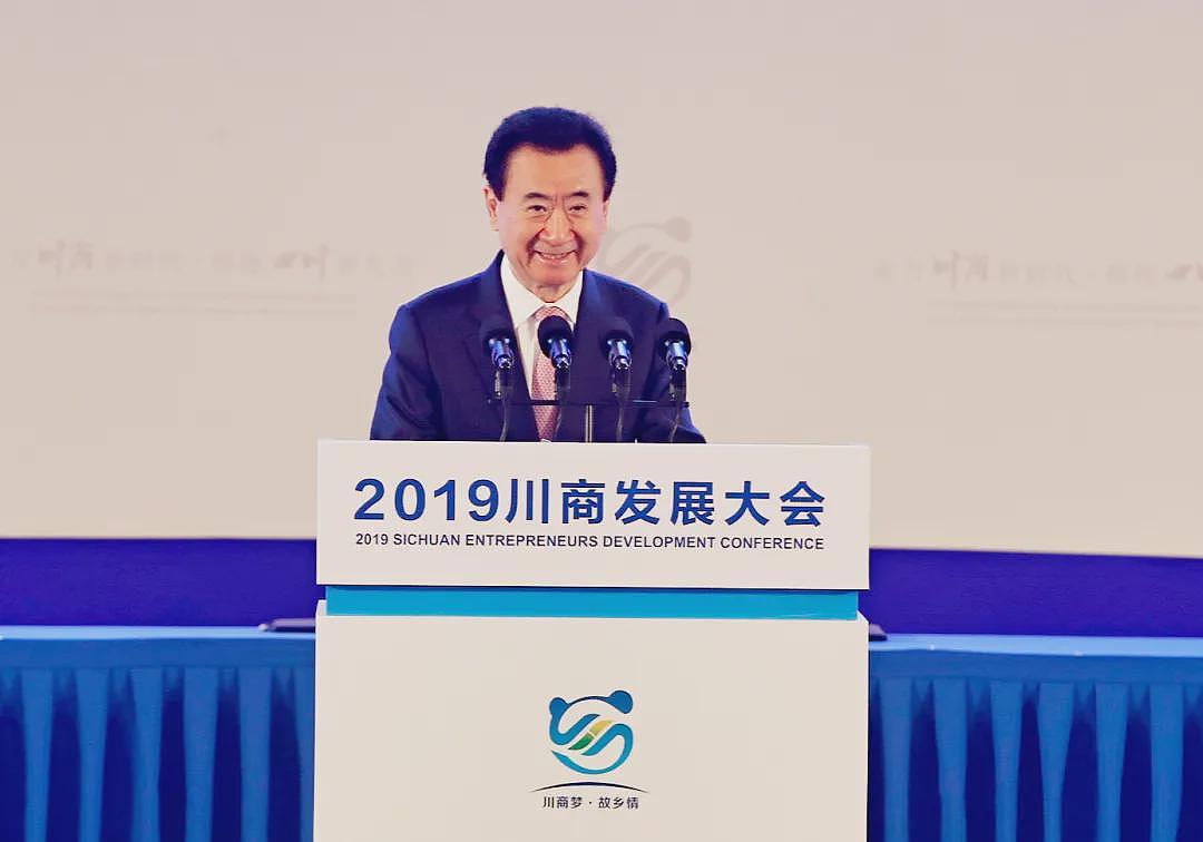 王健林被起诉！身家一年缩水820亿元（组图） - 6