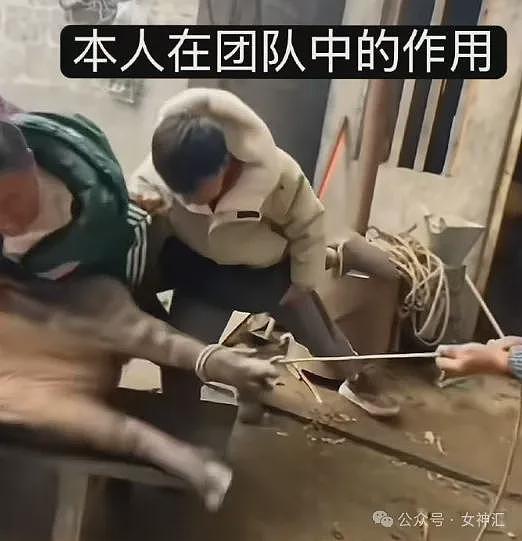 【爆笑】前男友在我家楼下下跪的六天求复合,我该怎么办(组图) - 42
