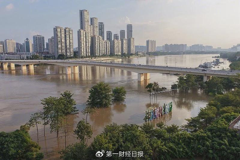 房屋和农作物全泡水里！广西百色多个村庄被困水中已超半月（视频/组图） - 3
