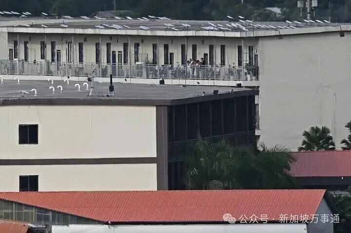 缅甸电诈园区死灰复燃，幕后帮凶竟是马斯克？仍有10万余人被困…（组图） - 8