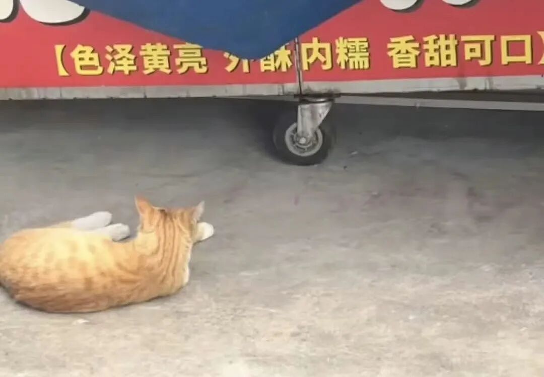 【爆笑】带男朋友见家长他居然不尊重我父母…啊啊啊人怎么能一次性踩这么多雷(组图) - 20
