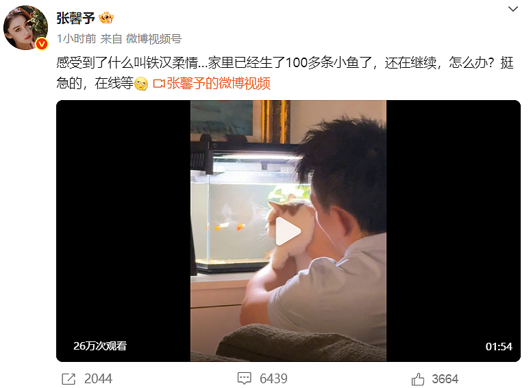 被骂心机女、搏上位，靠嫁“保安”洗白！结婚7年后，38岁的她口碑逆转：还好没嫁大黑牛...（组图） - 1