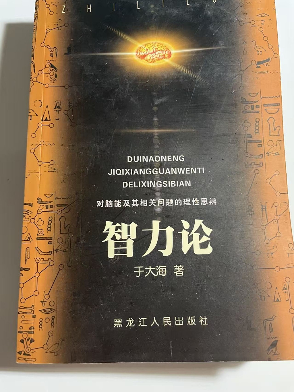大智若愚 海纳百川——智力学者历史专家于大海侧记(组图) - 2