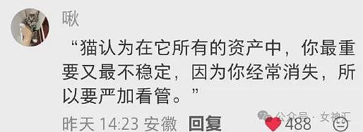 【爆笑】前男友在我家楼下下跪的六天求复合,我该怎么办(组图) - 6