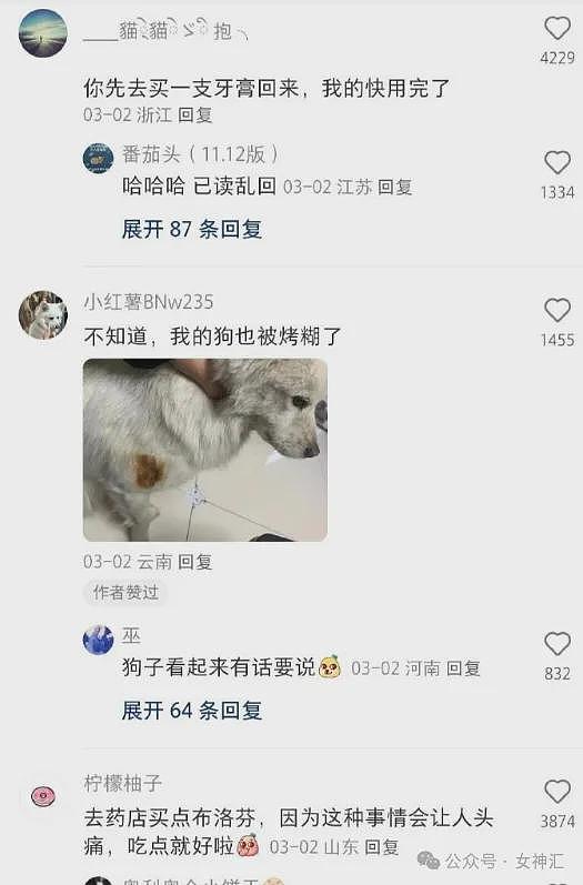 【爆笑】前男友在我家楼下下跪的六天求复合,我该怎么办(组图) - 72