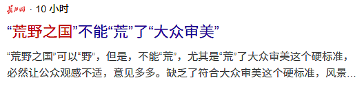 网红景区惊现“人体蜈蚣”，被骂到拆除到底冤不冤（组图） - 17