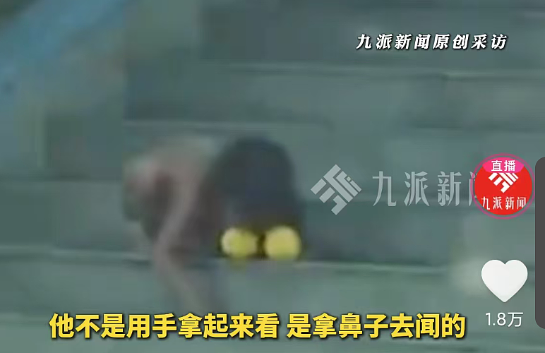 四川高速冒出 “野人娃”!光身爬着吃饭像小狗,房车爸妈不让人帮忙,说是崇尚自然?(视频/组图) - 2