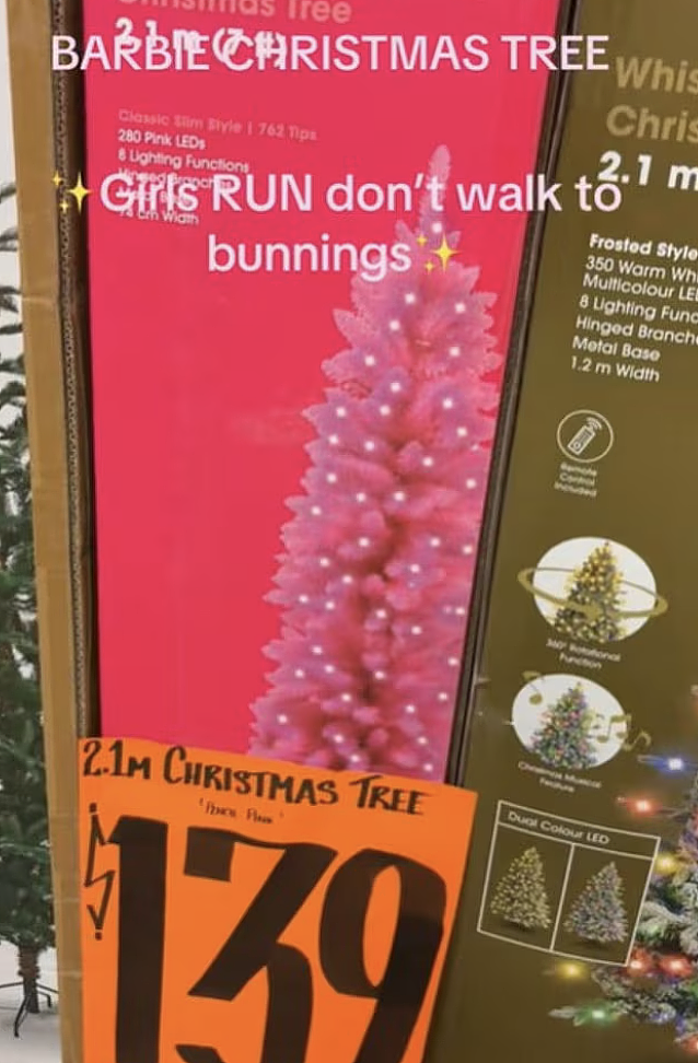 太炸了！Bunnings“芭比风”圣诞装饰引全澳疯抢（组图） - 3