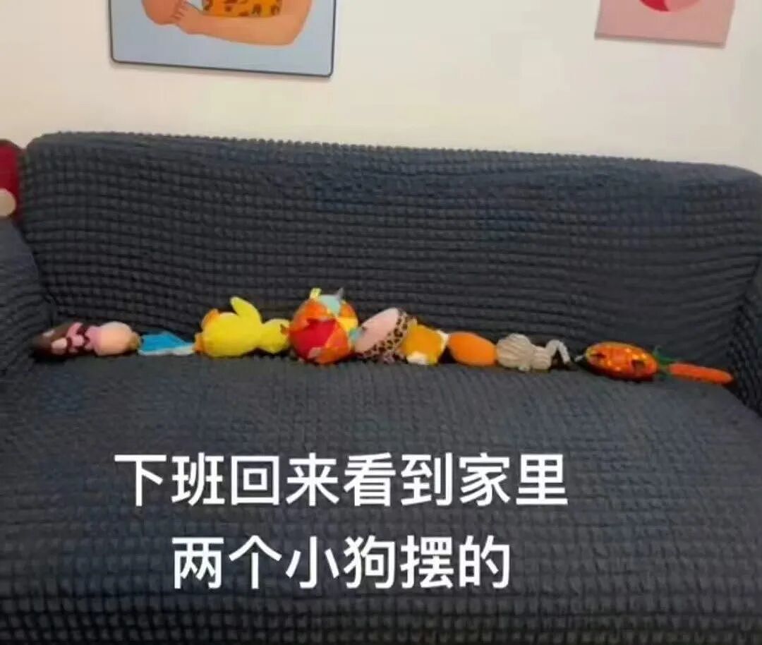 【爆笑】带男朋友见家长他居然不尊重我父母…啊啊啊人怎么能一次性踩这么多雷(组图) - 49