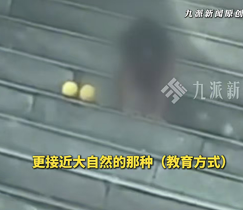 四川高速冒出 “野人娃”!光身爬着吃饭像小狗,房车爸妈不让人帮忙,说是崇尚自然?(视频/组图) - 13