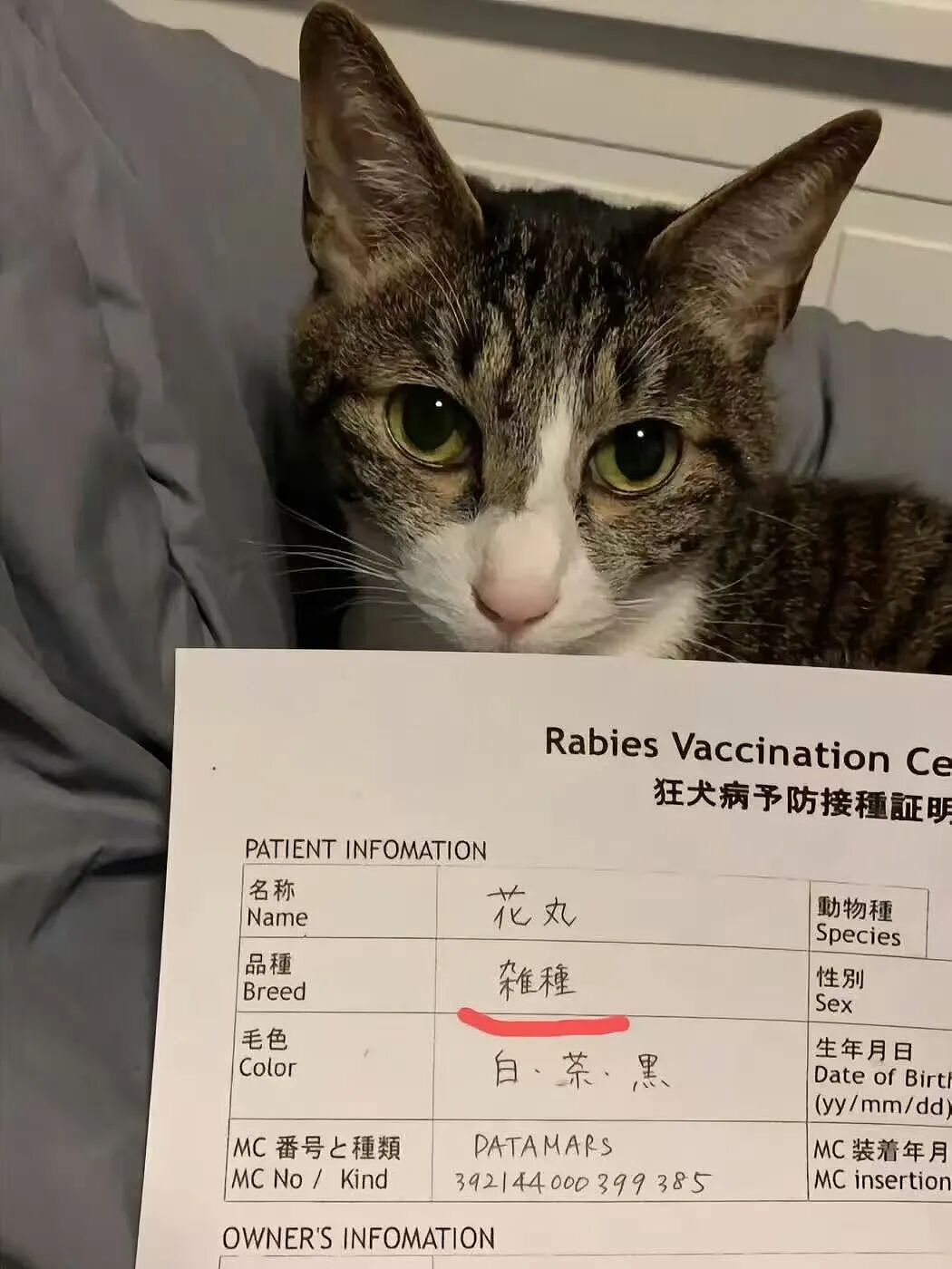 【爆笑】“大家找工作已经到了癫狂期了......” 哈哈哈哈哈哈哈感觉已经疯掉了（组图） - 89