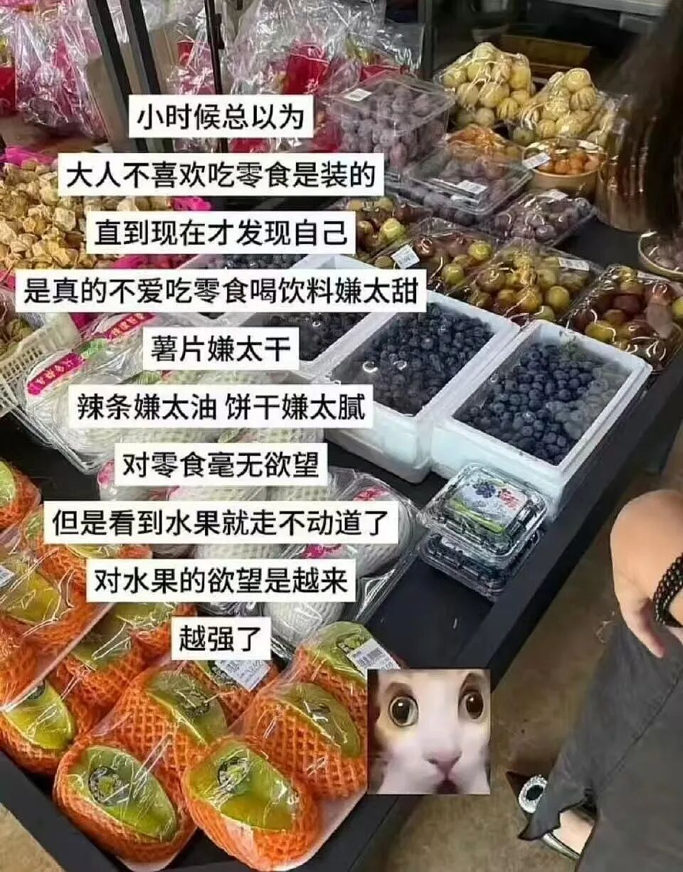 【爆笑】“大家找工作已经到了癫狂期了......” 哈哈哈哈哈哈哈感觉已经疯掉了（组图） - 44