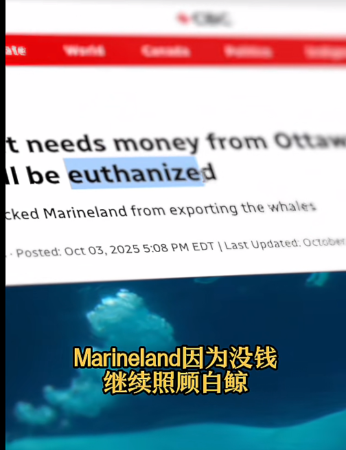 宁愿全部安乐死,也不给中国?加拿大养不起了,中国愿接手,然而...(组图) - 1