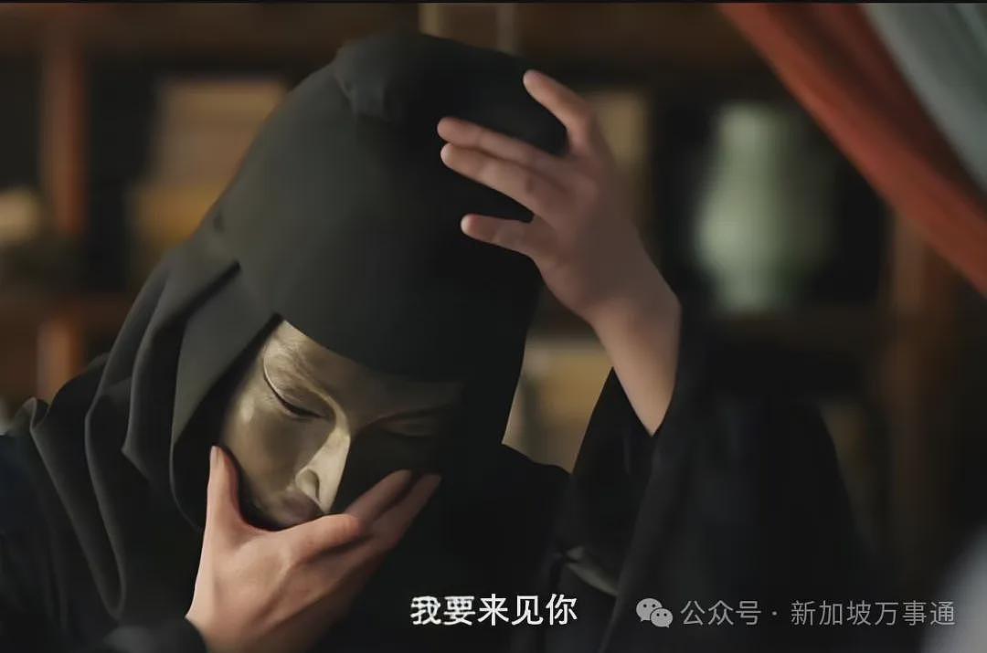 PR身份被取消、用中国假护照入境新加坡42次！自称生于广东的华族男子逆天操作，震惊全网（组图） - 13