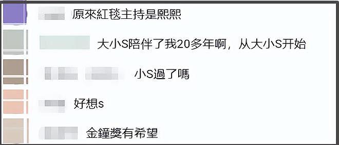 金钟奖红毯闹笑话，有人催生有人聊内裤，小S礼服挑好了都不出席（组图） - 20