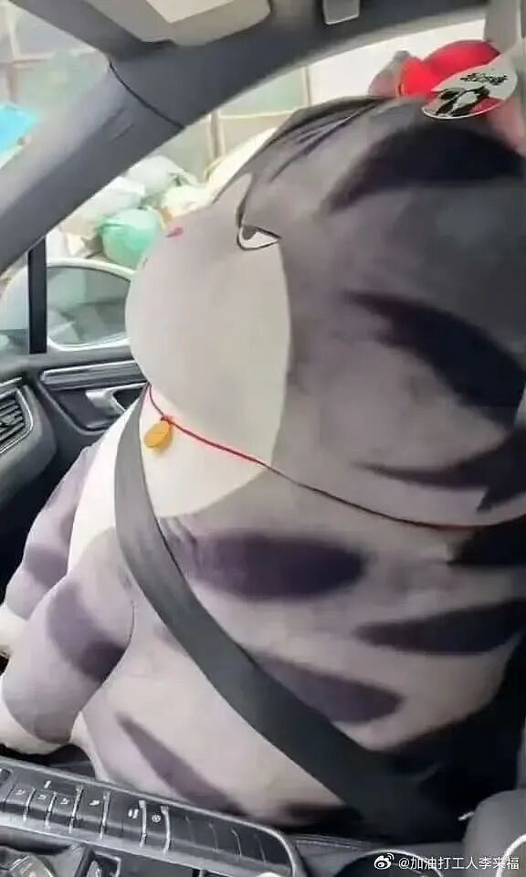 【爆笑】“让家长帮忙买乌萨奇的后果......”哈哈哈哈哈哈笑死了(组图) - 40