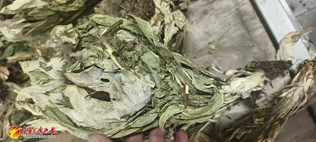 货车司机接了一单“玫瑰花”生意，背后竟牵出300万大案（组图） - 1