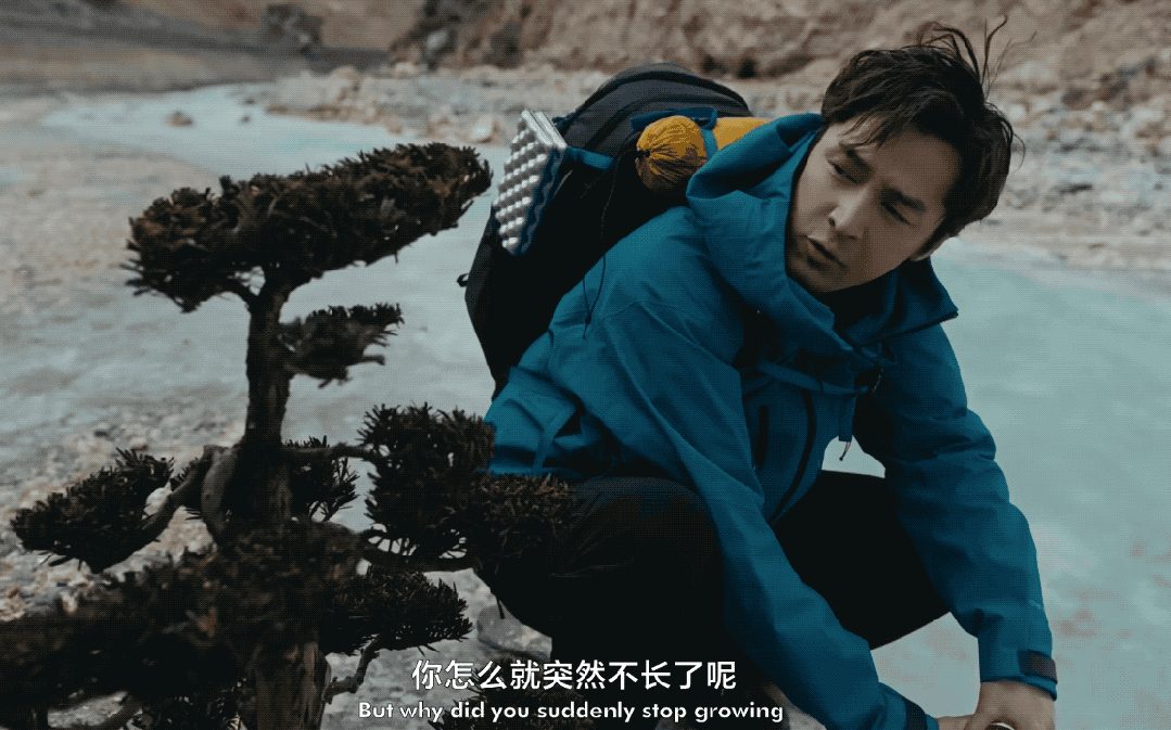 胡歌近况曝光,全网感叹:他才是内娱的“人间理想”(组图) - 22