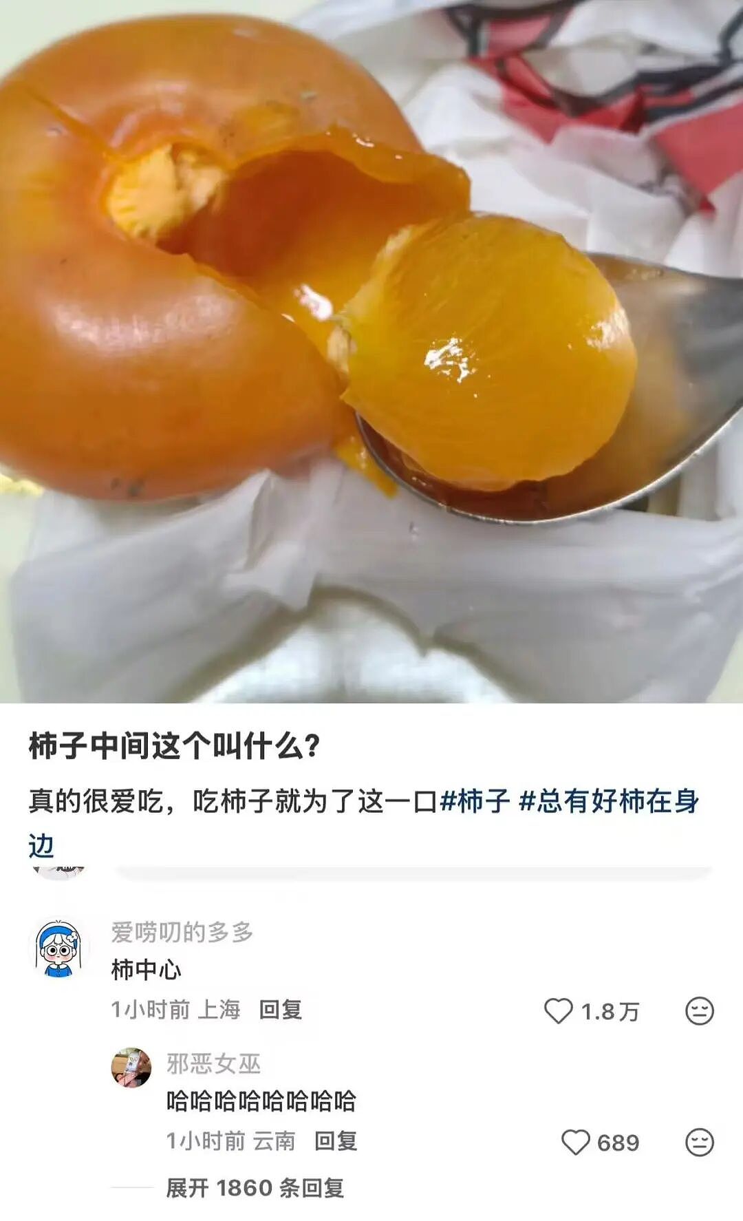 【爆笑】“大家找工作已经到了癫狂期了......” 哈哈哈哈哈哈哈感觉已经疯掉了（组图） - 52