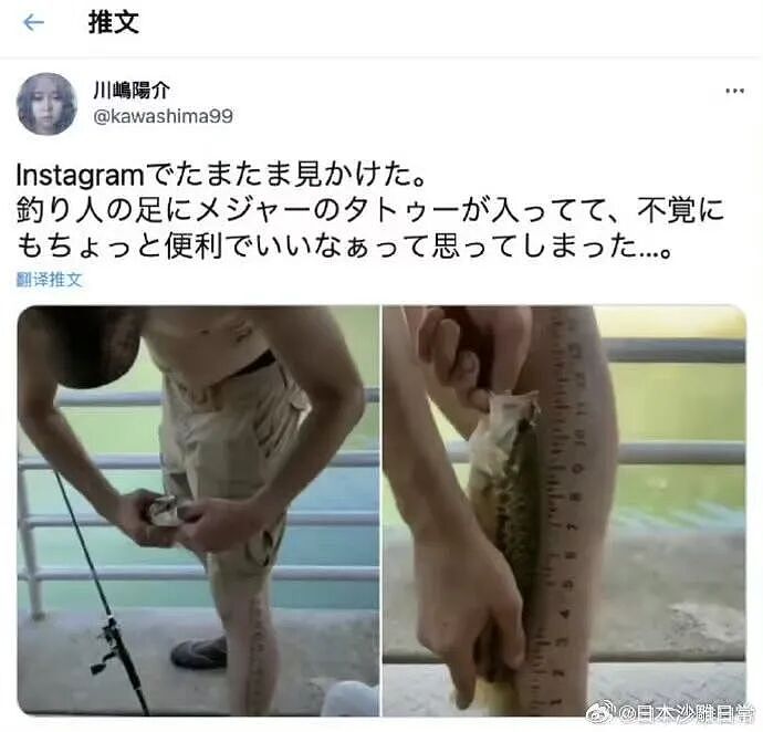【爆笑】“大家找工作已经到了癫狂期了......” 哈哈哈哈哈哈哈感觉已经疯掉了（组图） - 33