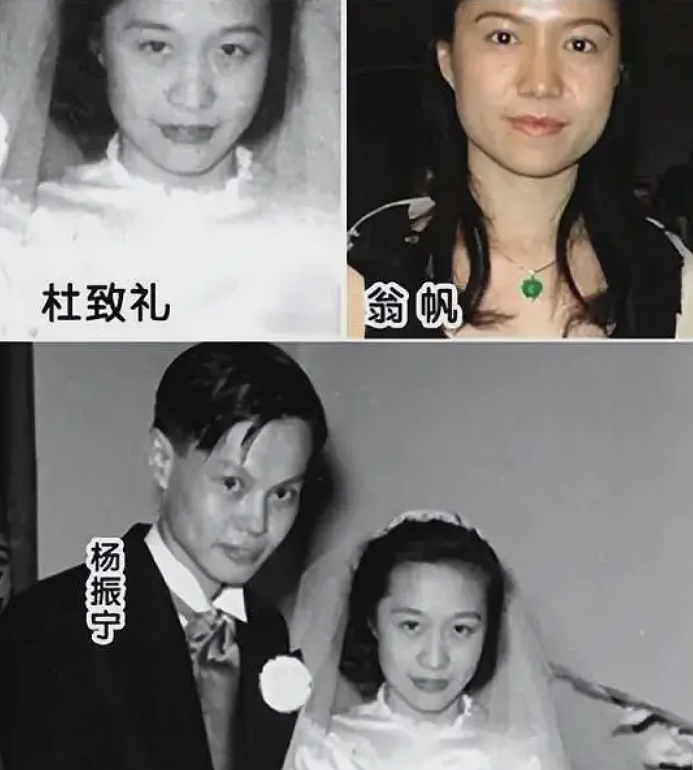 杨振宁妻子翁帆曾自白：为了丈夫的身体，我16年来都是早睡早起（组图） - 12