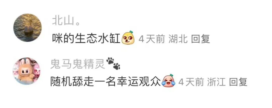 【爆笑】“大家找工作已经到了癫狂期了......” 哈哈哈哈哈哈哈感觉已经疯掉了（组图） - 39