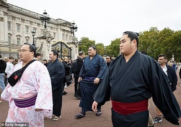 相扑规矩多！小选手恋爱玩手机都不让，但不妨碍他们出轨、睡粉...（组图） - 2