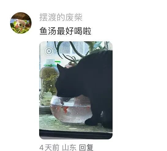 【爆笑】“大家找工作已经到了癫狂期了......” 哈哈哈哈哈哈哈感觉已经疯掉了（组图） - 42