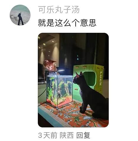 【爆笑】“大家找工作已经到了癫狂期了......” 哈哈哈哈哈哈哈感觉已经疯掉了（组图） - 40