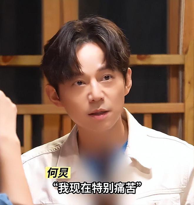钱再多有什么用？51岁情绪崩溃的何炅，给所有不婚不孕人提了个醒（组图） - 8