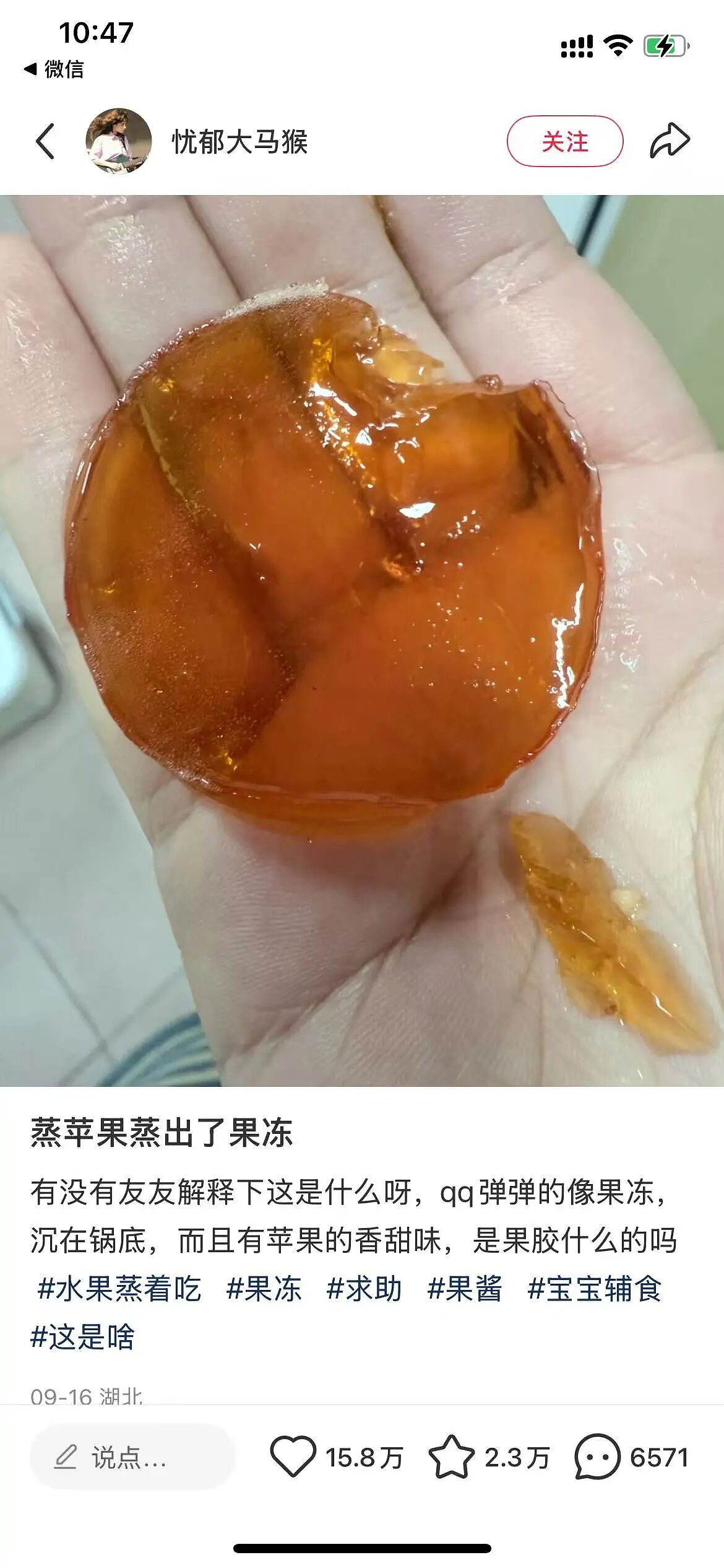 “蒸苹果蒸出果冻”,是“极品饭灵根”,还是商家给苹果注胶了?(组图) - 1