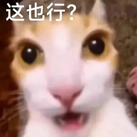 PR身份被取消、用中国假护照入境新加坡42次！自称生于广东的华族男子逆天操作，震惊全网（组图） - 7