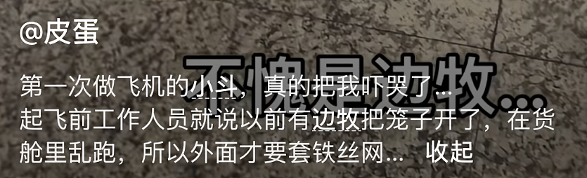 【爆笑】王诗龄这张照片刷屏！全网关注点都是 11 万元的凉鞋？看到最后：我也想当她了...（组图） - 5